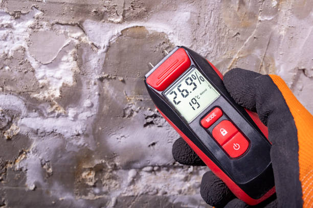 Certified Mold Removal in West Menlo Park, CA