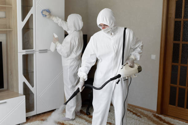 Crawl Space Mold Removal in West Menlo Park, CA